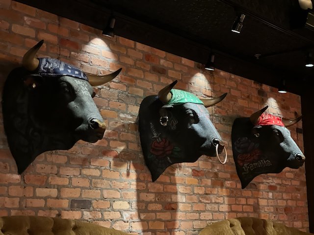 Artificial bull heads hanging on a wall at Tulios Mexican restaurant in Wilon manorst